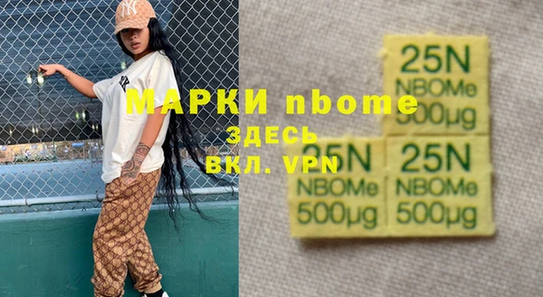 шишки Магас