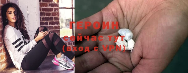 шишки Магас