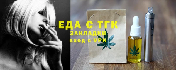шишки Магас