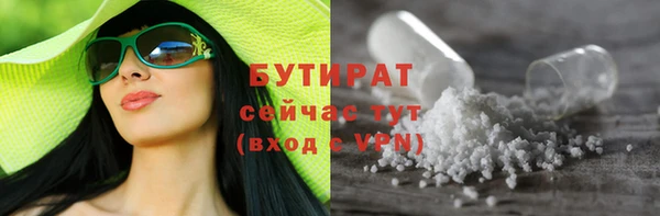 шишки Магас