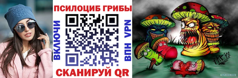 Псилоцибиновые грибы GOLDEN TEACHER  как найти   Данилов 